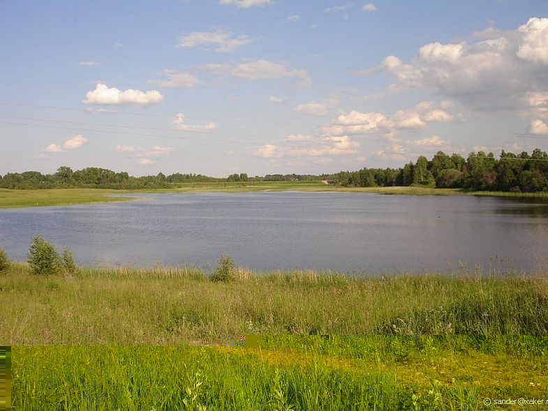 Знак зодиака собака, обозначение знаков зодиака, что означают знаки зодиака